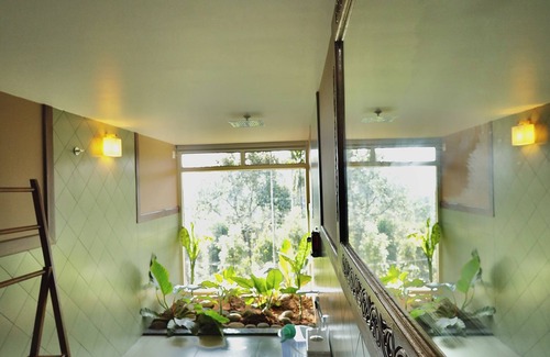 Meppadi Resort | Calithra Boutique Resort