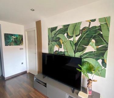 Aldaia Apartment | Calm Jungle Apartment Near Valencia