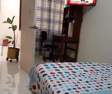 Cali Other | CAMBULOS