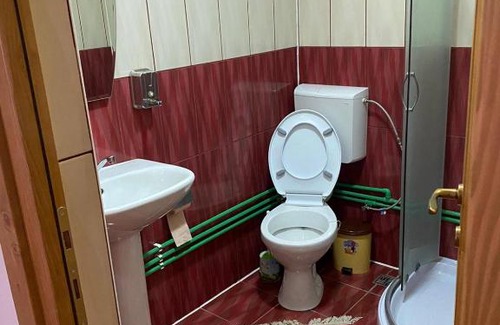 Viseu de Sus House | Camere de închiriat Floarea reginei