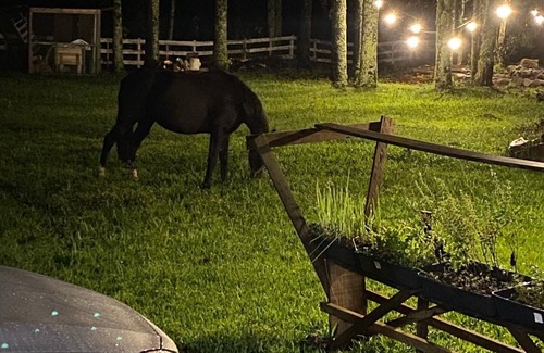 Urubici House | Caminho dos Sonhos Chalet