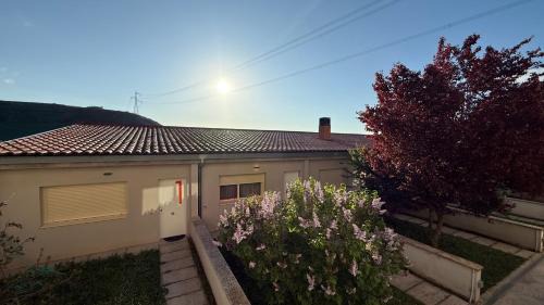 Rabe de las Calzadas Apartment | Camino De Rabe