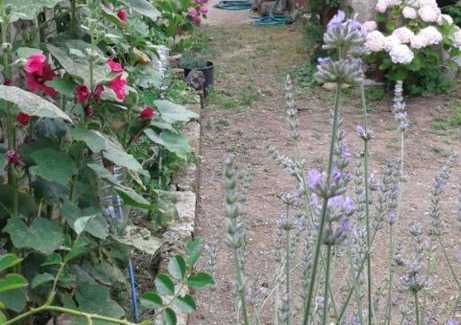 San Martino Valle Caudina House | Campanino68