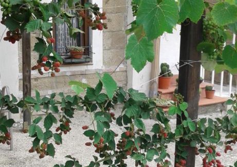 San Martino Valle Caudina House | Campanino68