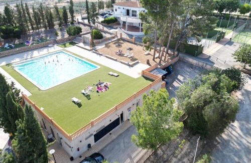 Locaiba Other | Camping Albox