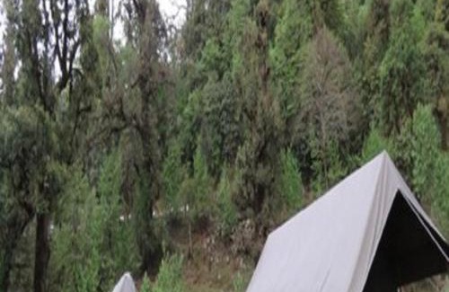Dugalbitta Other | Camping at Natures Nest