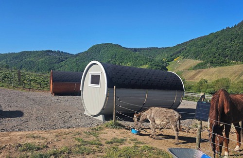Burg Cabin | Camping barrel Odin with HotTube in the beautiful Burger vineyards