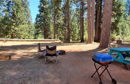 Shingletown RV Rental | Camping Cabin C at Bigfoot Lodging Mt. Lassen