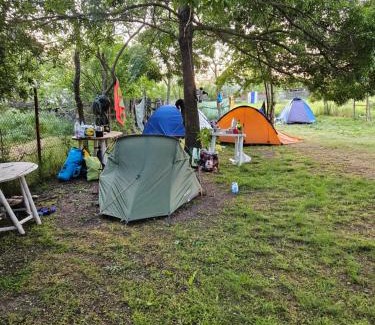 Crisan Other | Camping Casuta Mihaela