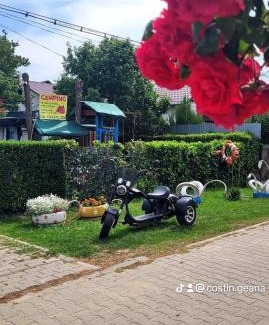 Crisan Other | Camping Casuta Mihaela