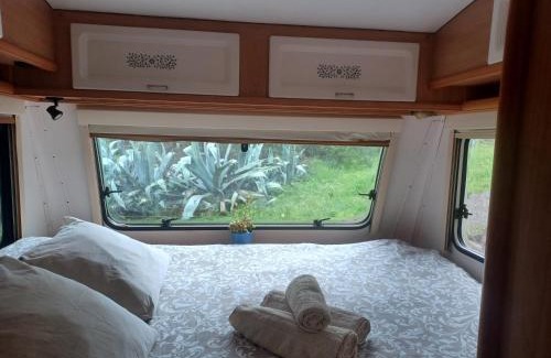 Tarifa Other | Camping en Molino Dorado