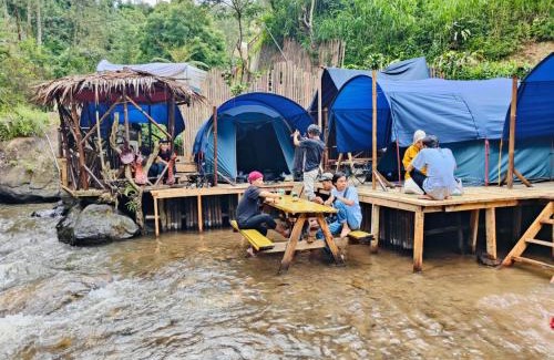 Pangalengan Other | Camping hutan pinus singkur rahong
