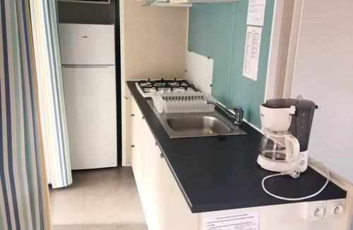 Saint-Gerons House | Camping Les Rives du lac Cantalès * - Riviera 2 bedroom mobile home 6 people