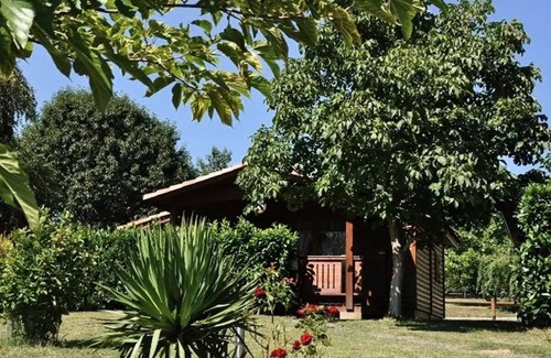 Montrejeau House | Camping Midi Pyrenees* - 3 room mobile home 4 people