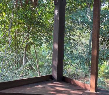 Alter do Chao House | Campo de Heliantos