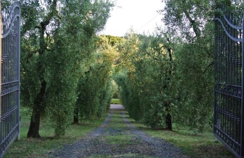 Montescudaio House | Campo del Rosario