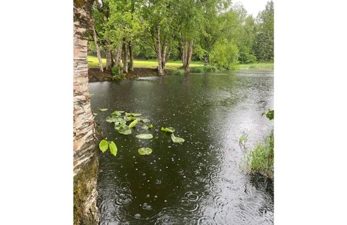 Ferndale RV Rental | CAMPSITE 2 Cottonwood pond CAMPSITE on JuneBudFarms