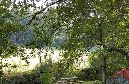 Penrose RV Rental | Campsite #2 on the banks of Crab Creek, tent camping near Dupont State Forest!
