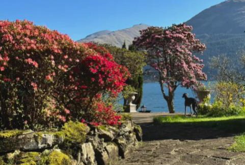 Onich House | Camus House, Lochside Guest House