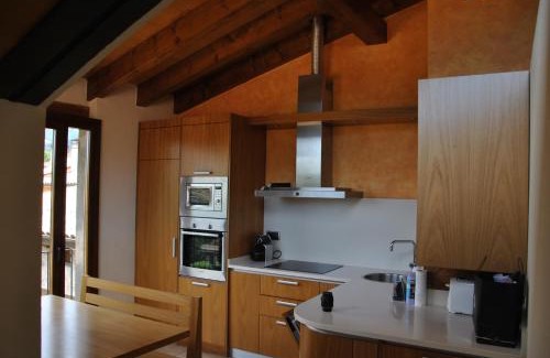 Sant Joan de Les Abadesses Apartment | Can Taga Verd St Joan