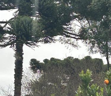 Sao Francisco de Paula House | Cantinho da Serra