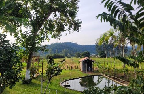 Nova Trento Apartment | Cantinho da nona Nova Trento SC