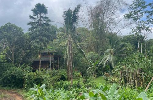 Puerto Quito House | Caoni riverside Lodge