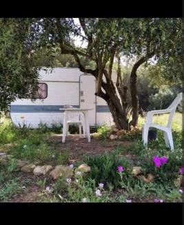 Almonte Other | Caravana acogedora con piscina "Amantes de la naturaleza"