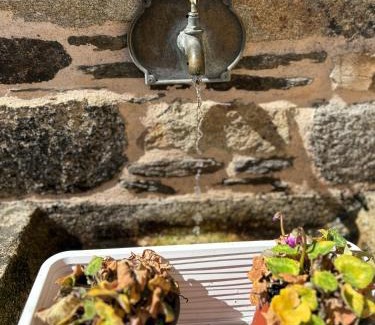 Sanxurxo House | Caraxolas