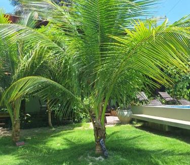 Barra Grande House | Carpe Diem Suítes Taipu de Fora