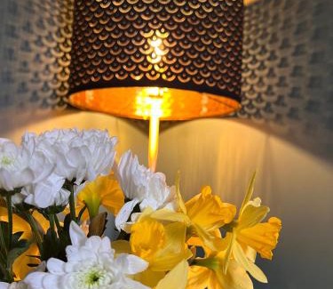 Shrewsbury Apartment | Cartref - Fully equipped and stunning town flat