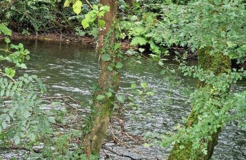 Coristanco House | Casa 1 LarSanAdrian