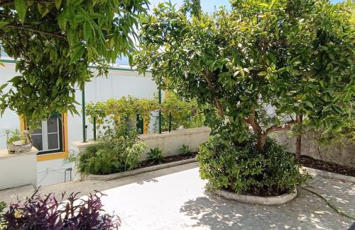 Torres Novas House | Casa 2 Jardins