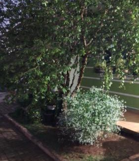 Santa Cruz House | Casa 5 estrelas