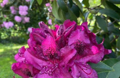 Nercon House | Casa a pasos de Casino Enjoy