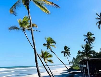 Aritagua House | Casa Acapulco - 5 Quartos - Ilhéus-BA