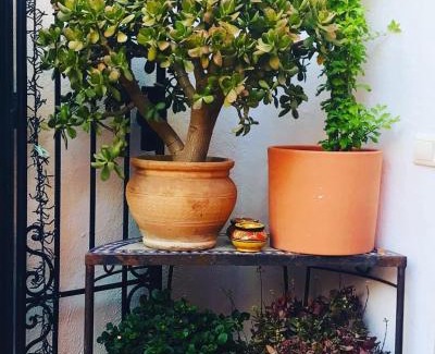 Pinos del Valle Bed & Breakfast | Casa Aire de Lecrin