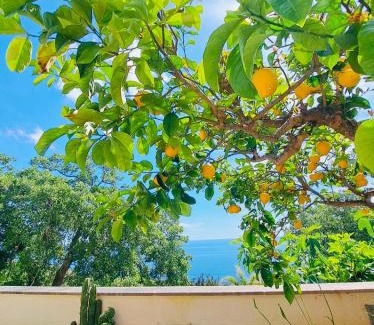 Porto Tricase House | CASA AL MARE RIO b&n