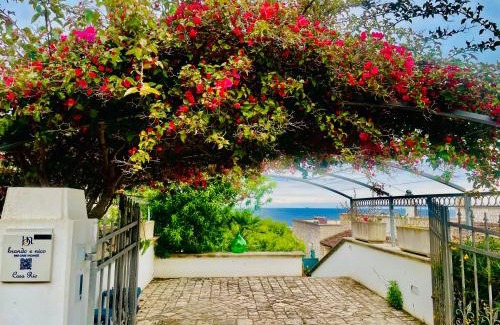 Porto Tricase House | CASA AL MARE RIO b&n
