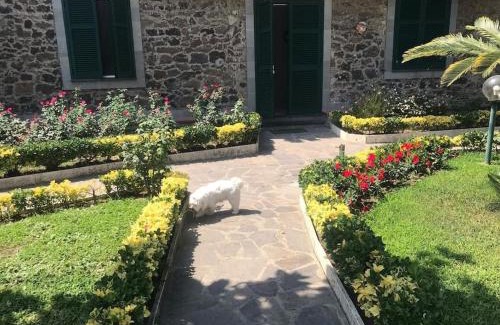 Ischia Porto Villa | Casa Alfonso, Ischia