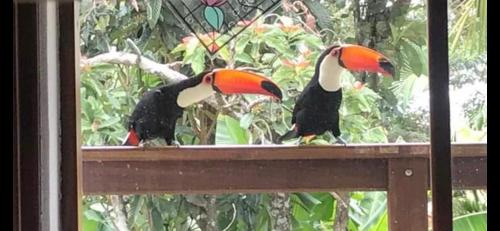 Passa Quatro House | Casa Amarela