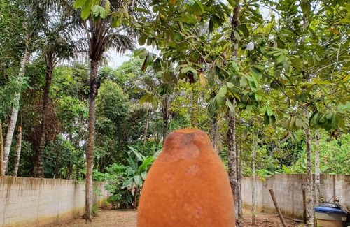 Novo Airao House | Casa Apuaú