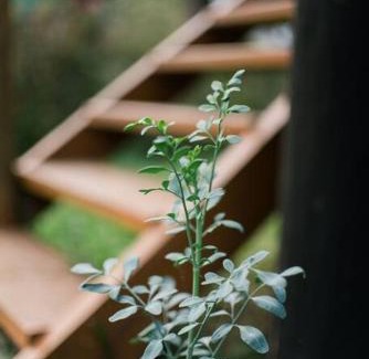 Paraty House | Casa Arandu Paraty