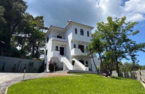 Paliouri Villa | Casa at the top of the hill
