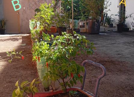 Corumba House | Casa B Central Simples e confortável