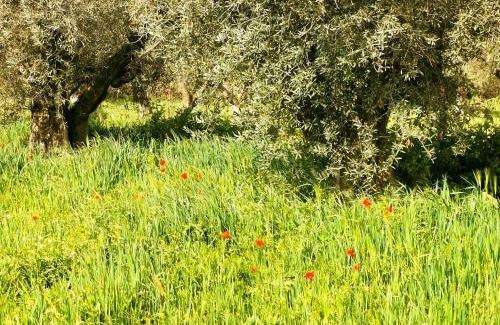 Casar de Caceres House | Casa Batalla