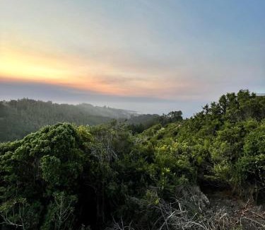 Cobquecura House | Casa Bosque Olas de Buchupureo