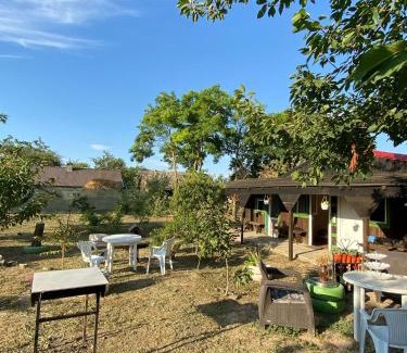 Vadu House | Casa Butnariu