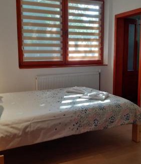 Sovata House | Casa Camelia