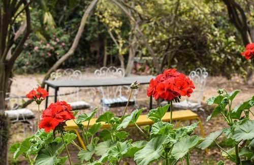 Olmue House | Casa Campo Lindo